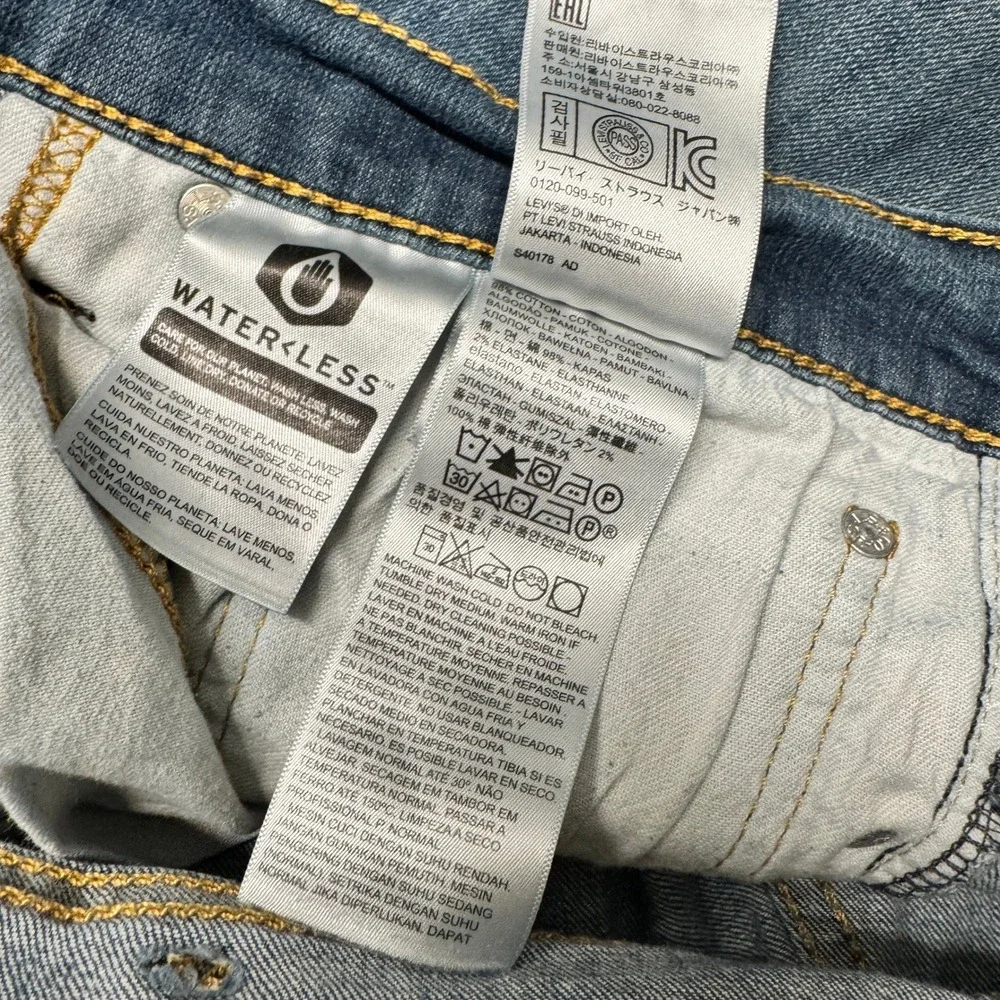 Levis levi 541